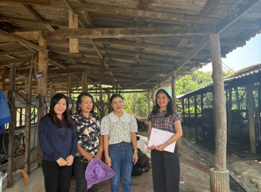 คณะทำงานตรวจสอบปริมาณน้ำนมโคระดับจังหวัดและลงพื้นที่ตรวจสอบปริมาณน้ำนมโคทั้งระบบ ... Image 4